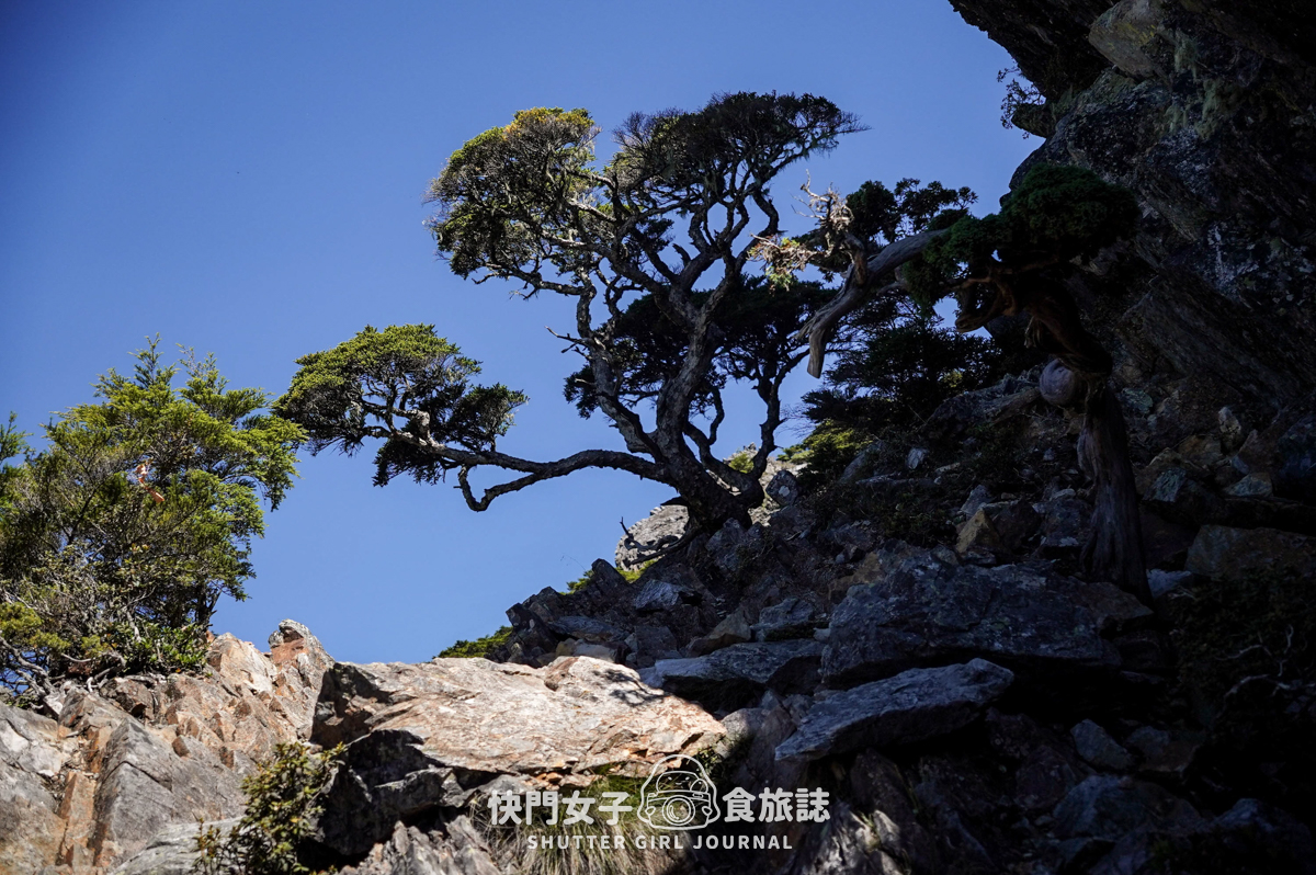 【二日四秀】武陵四秀 x 石瀑池有山 x 挑戰V斷品田山 x 日出桃山 x 鳥山喀拉業山 x 新達山屋