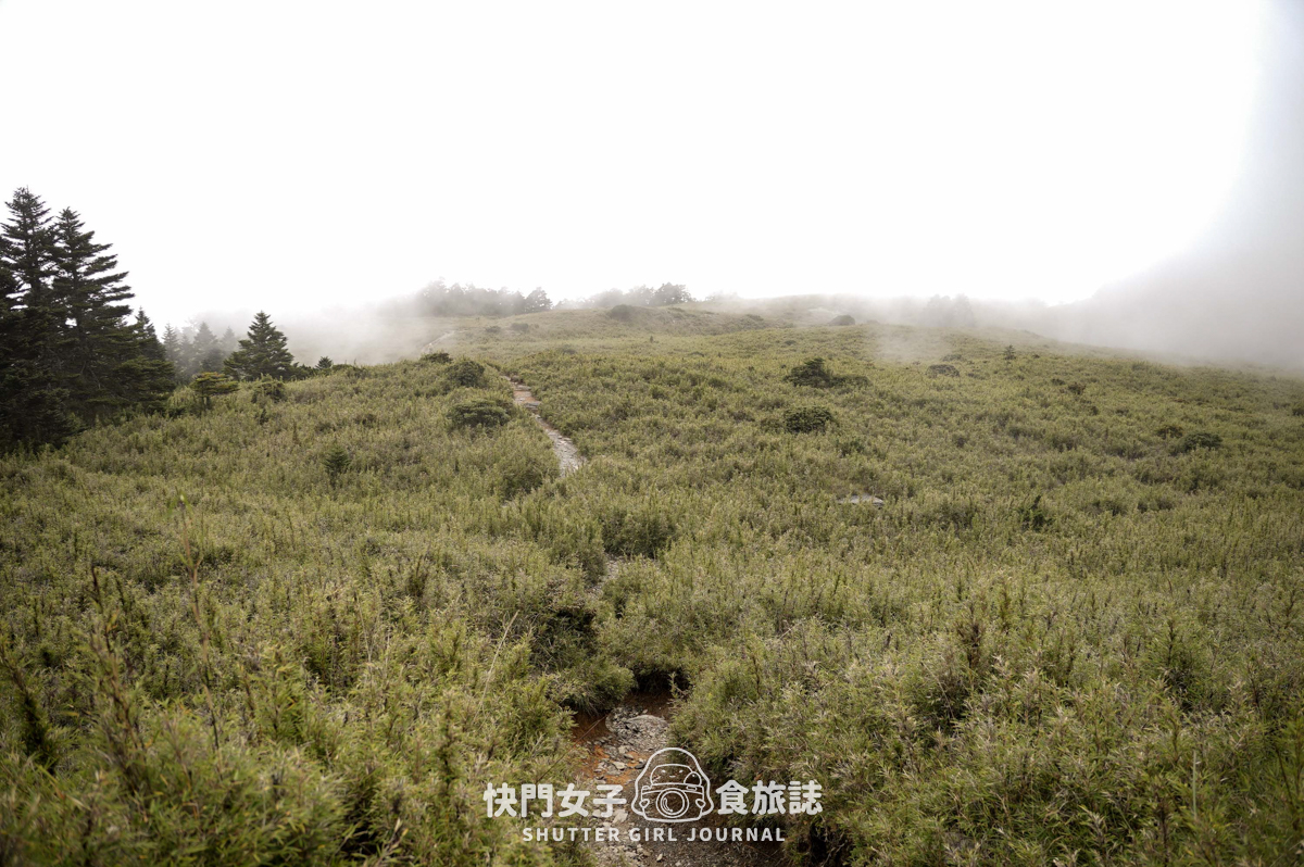 【二日四秀】武陵四秀 x 石瀑池有山 x 挑戰V斷品田山 x 日出桃山 x 鳥山喀拉業山 x 新達山屋