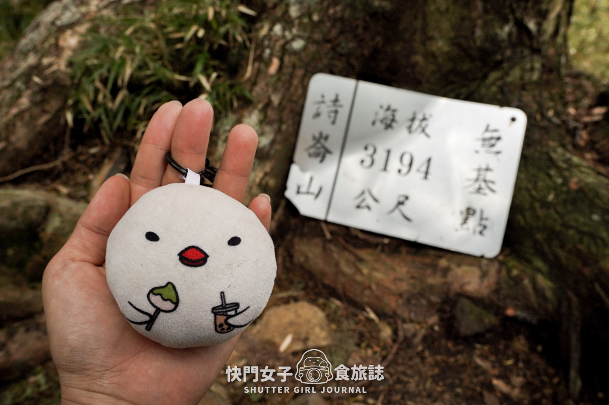 【二日四秀】武陵四秀 x 石瀑池有山 x 挑戰V斷品田山 x 日出桃山 x 鳥山喀拉業山 x 新達山屋