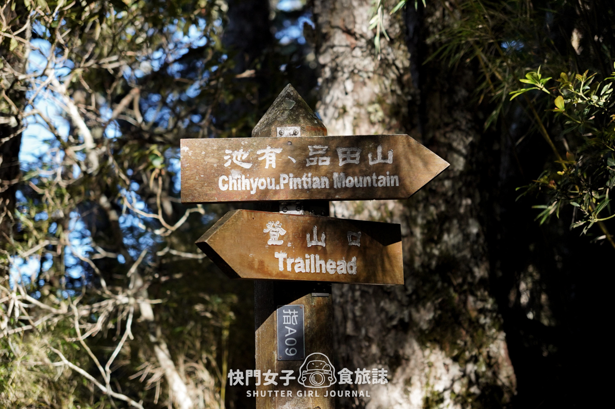 【二日四秀】武陵四秀 x 石瀑池有山 x 挑戰V斷品田山 x 日出桃山 x 鳥山喀拉業山 x 新達山屋