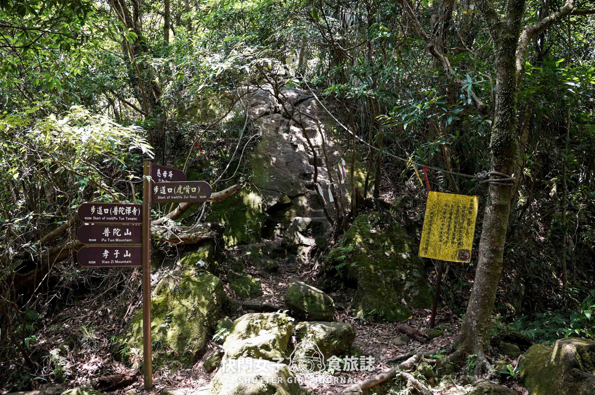 【孝子山&慈母峰】懼高的人無法挑戰的孝子山和慈母峰 x 陡上陡下的極窄路線 - 第12張圖 【孝子山&慈母峰】懼高的人無法挑戰的孝子山和慈母峰 x 陡上陡下的極窄路線