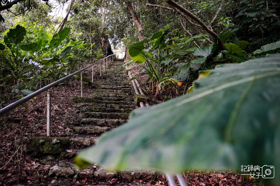 13高雄阿蓮岡山小百岳大崗山風景區龍盤峽谷一線天超峰寺.jpg