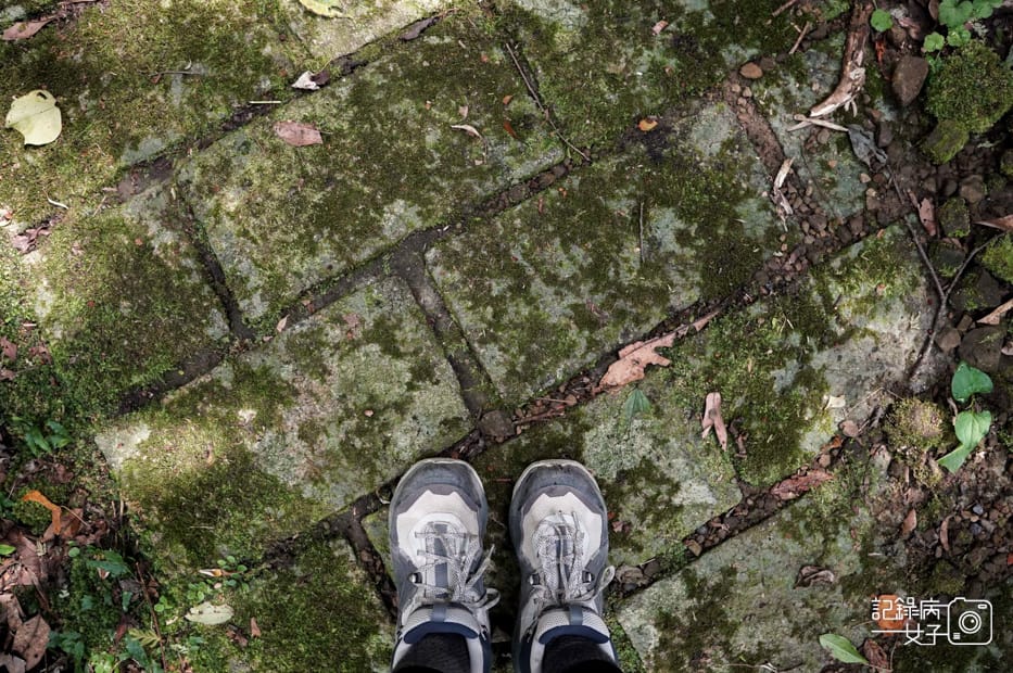 14健行筆記新北平溪菁桐石筍尖魔神仔洞薯榔尖登山步道菁桐古道.jpg