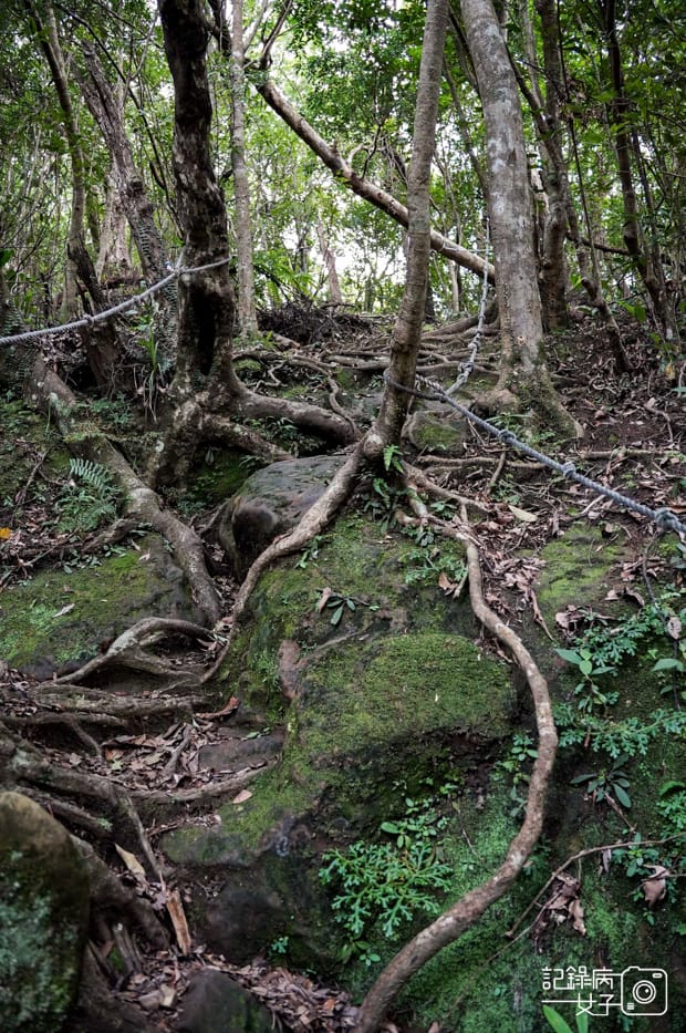 18健行筆記新北平溪菁桐石筍尖魔神仔洞薯榔尖登山步道菁桐古道.jpg