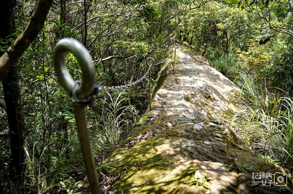 29健行筆記新北平溪菁桐石筍尖魔神仔洞薯榔尖登山步道菁桐古道.jpg