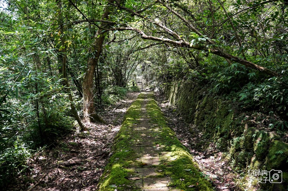 33健行筆記新北平溪菁桐石筍尖魔神仔洞薯榔尖登山步道菁桐古道.jpg