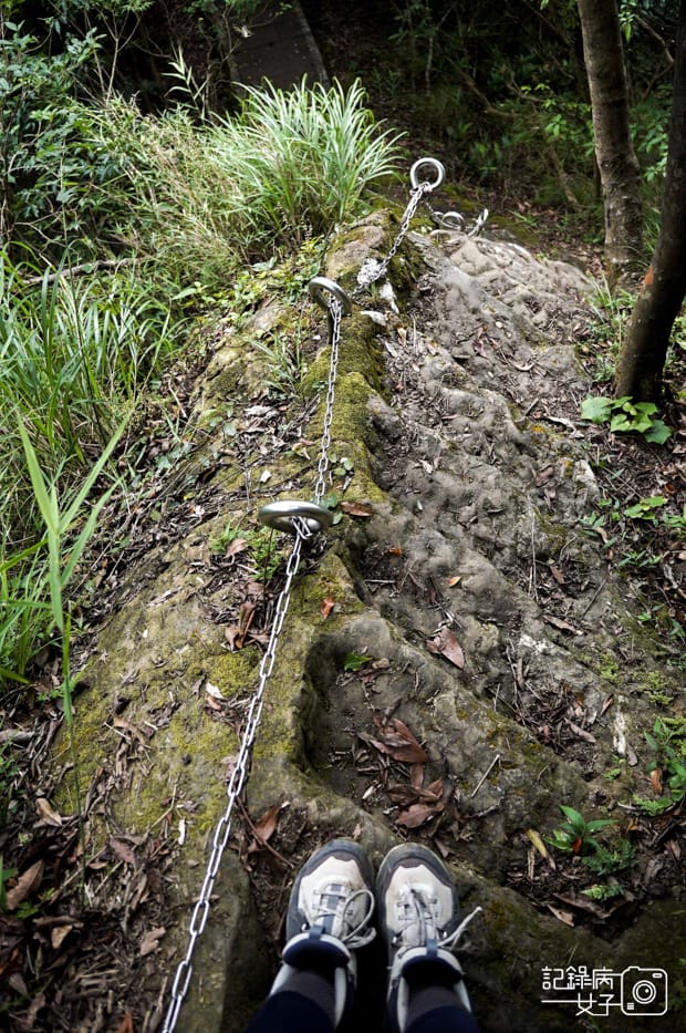 31健行筆記新北平溪菁桐石筍尖魔神仔洞薯榔尖登山步道菁桐古道.jpg