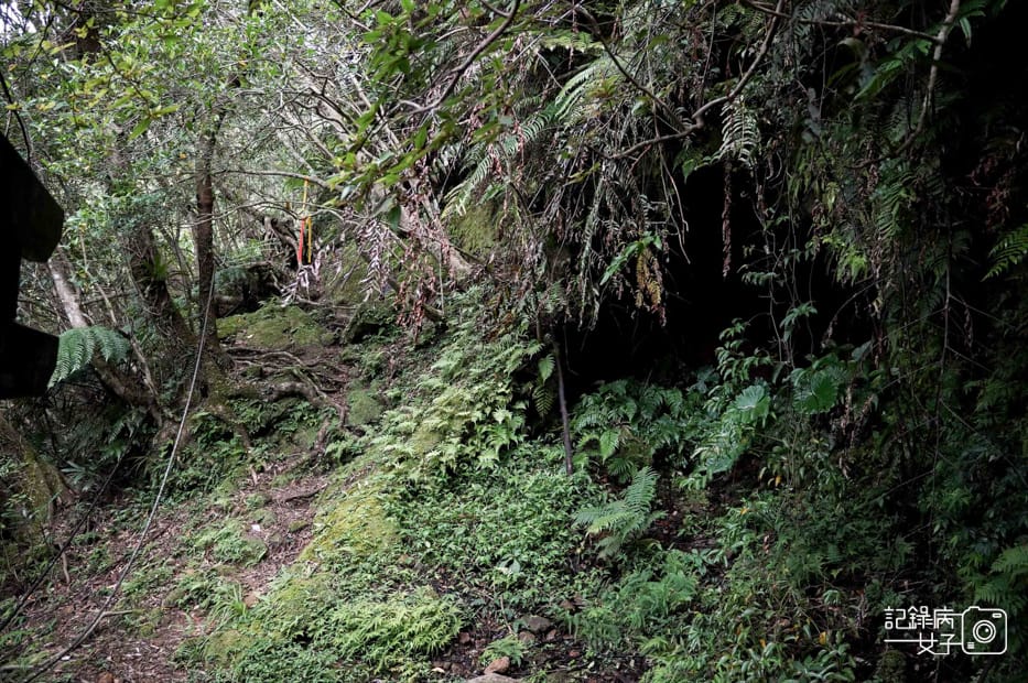 16健行筆記新北平溪菁桐石筍尖魔神仔洞薯榔尖登山步道菁桐古道.jpg