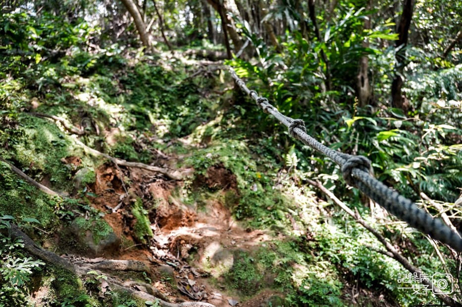19健行筆記新北平溪菁桐石筍尖魔神仔洞薯榔尖登山步道菁桐古道.jpg