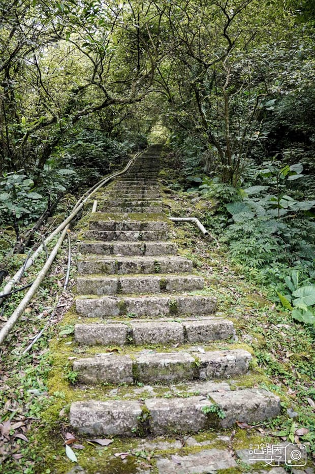 13健行筆記新北平溪菁桐石筍尖魔神仔洞薯榔尖登山步道菁桐古道.jpg
