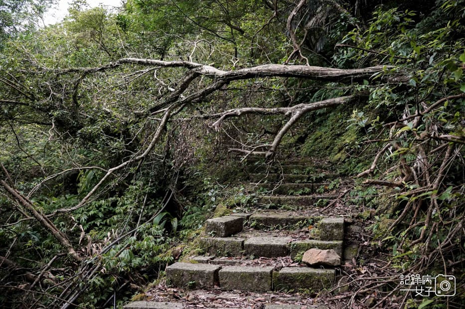 15健行筆記新北平溪菁桐石筍尖魔神仔洞薯榔尖登山步道菁桐古道.jpg