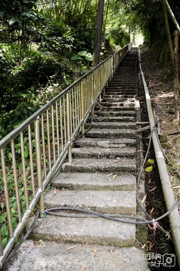 10健行筆記新北平溪菁桐石筍尖魔神仔洞薯榔尖登山步道菁桐古道.jpg