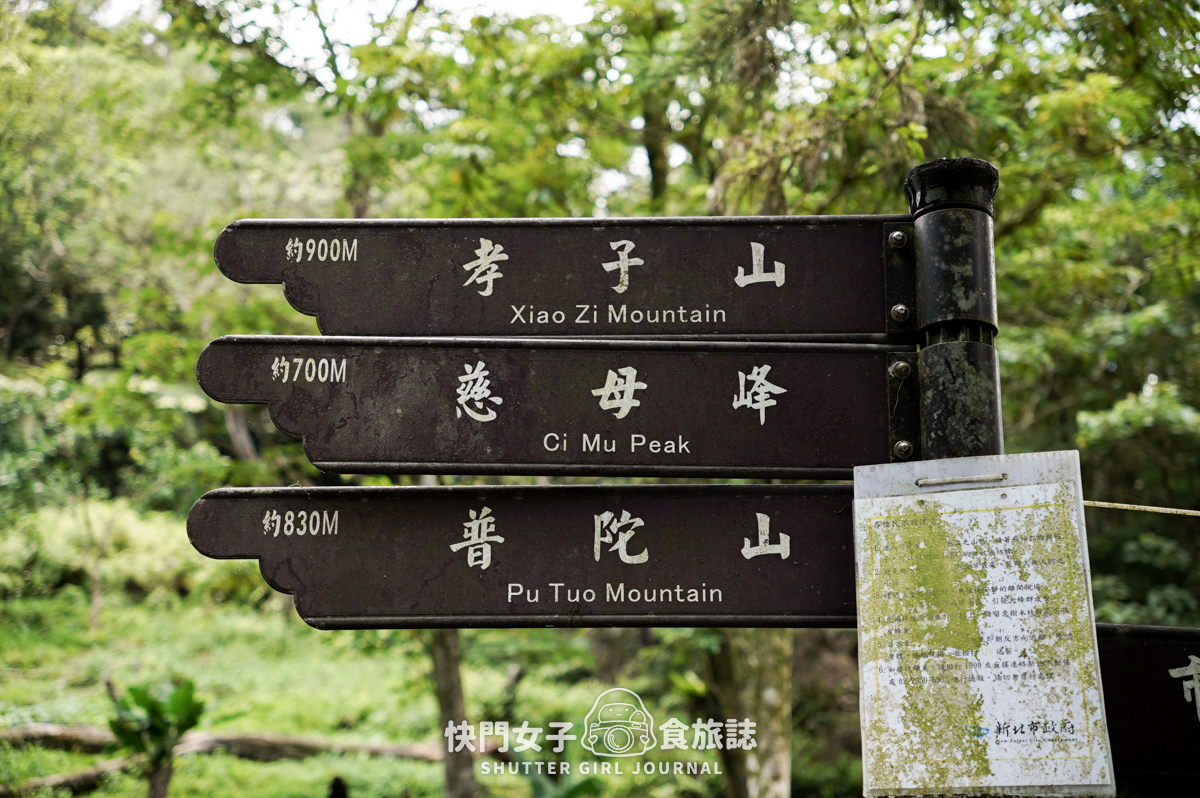 【孝子山&慈母峰】懼高的人無法挑戰的孝子山和慈母峰 x 陡上陡下的極窄路線 - 第8張圖 【孝子山&慈母峰】懼高的人無法挑戰的孝子山和慈母峰 x 陡上陡下的極窄路線