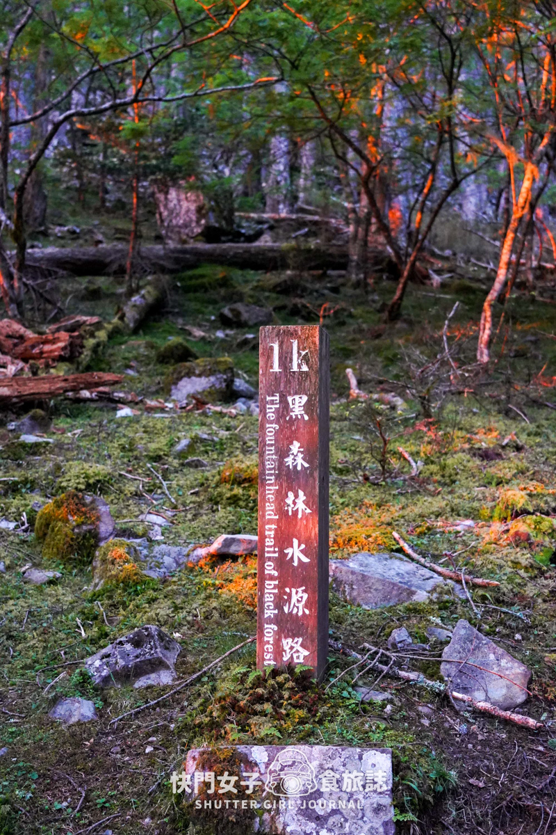 【雪山北峰】雪北單攻 x 穿越黑森林碎石坡 x 欣賞高山杜鵑圈谷 x 可愛夢幻雪北山屋 - 第13張圖 【雪山北峰】雪北單攻 x 穿越黑森林碎石坡 x 欣賞高山杜鵑圈谷 x 可愛夢幻雪北山屋
