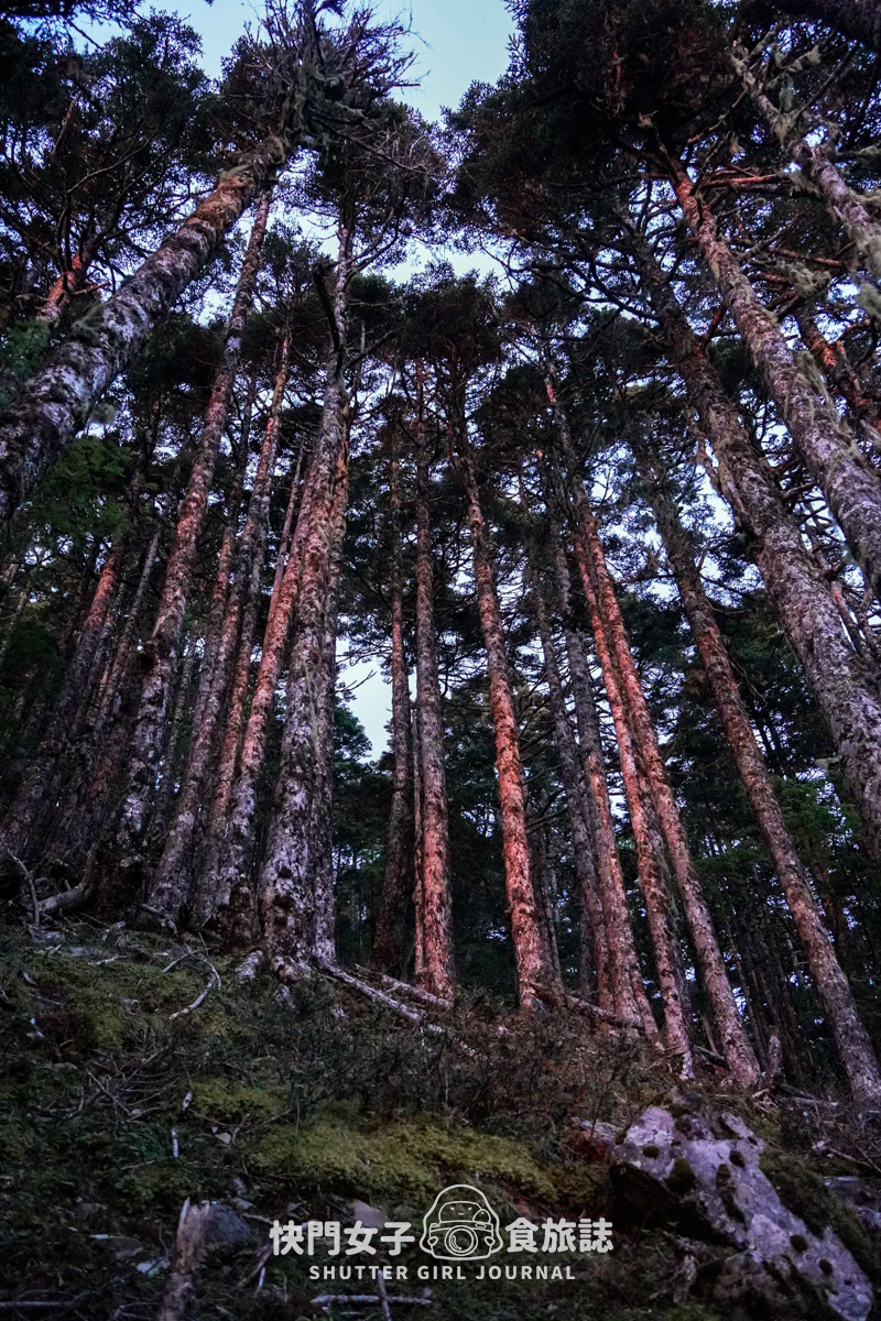 【雪山北峰】雪北單攻 x 穿越黑森林碎石坡 x 欣賞高山杜鵑圈谷 x 可愛夢幻雪北山屋 - 第14張圖 【雪山北峰】雪北單攻 x 穿越黑森林碎石坡 x 欣賞高山杜鵑圈谷 x 可愛夢幻雪北山屋