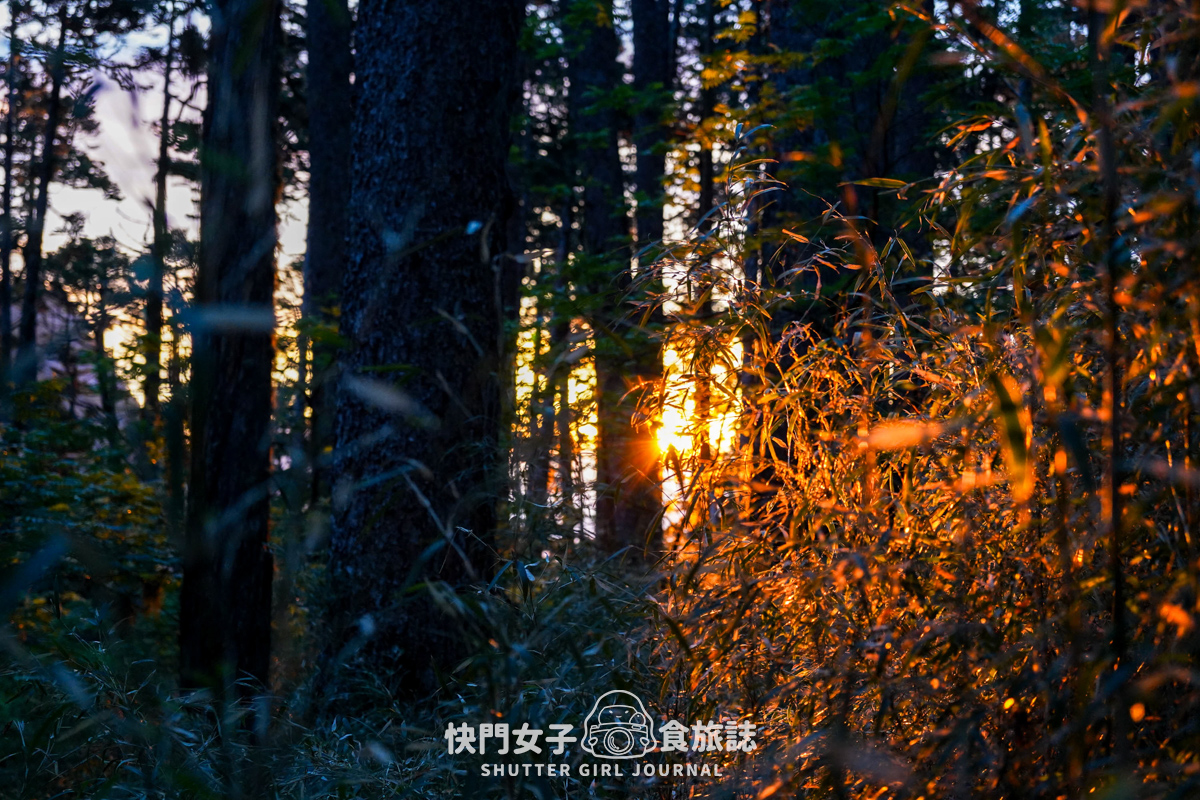 【雪山北峰】雪北單攻 x 穿越黑森林碎石坡 x 欣賞高山杜鵑圈谷 x 可愛夢幻雪北山屋 - 第16張圖 【雪山北峰】雪北單攻 x 穿越黑森林碎石坡 x 欣賞高山杜鵑圈谷 x 可愛夢幻雪北山屋