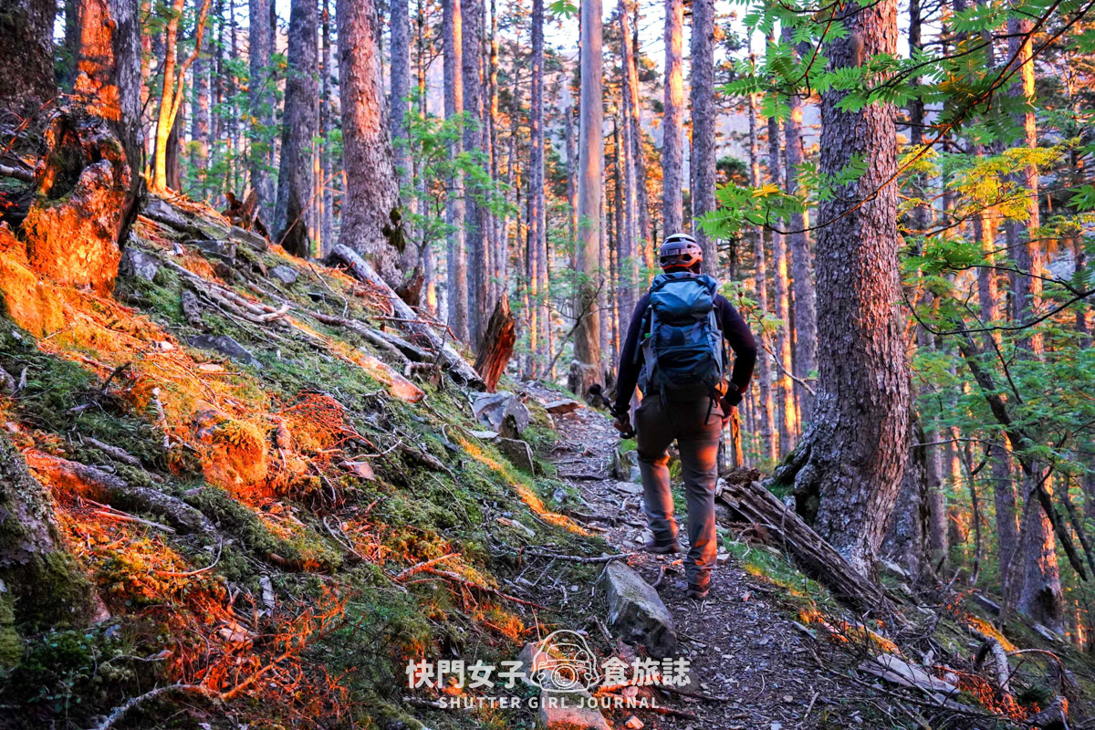 【雪山北峰】雪北單攻 x 穿越黑森林碎石坡 x 欣賞高山杜鵑圈谷 x 可愛夢幻雪北山屋 - 第17張圖 【雪山北峰】雪北單攻 x 穿越黑森林碎石坡 x 欣賞高山杜鵑圈谷 x 可愛夢幻雪北山屋