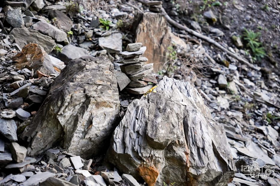 11台灣百岳北二段無名甘薯耳無溪營地遠多志山.jpg