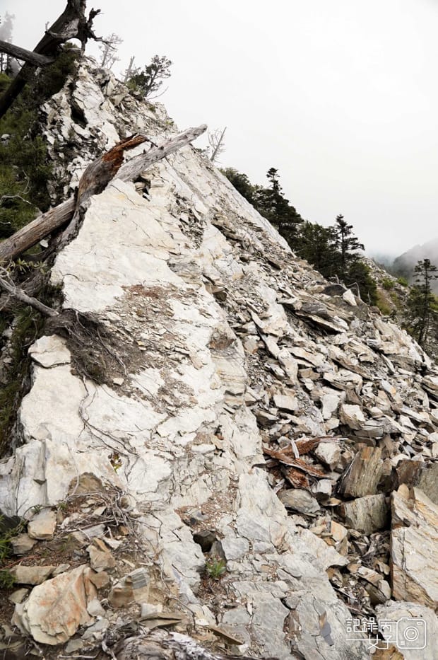 39台灣百岳北二段無名甘薯鬼門關山難度.jpg