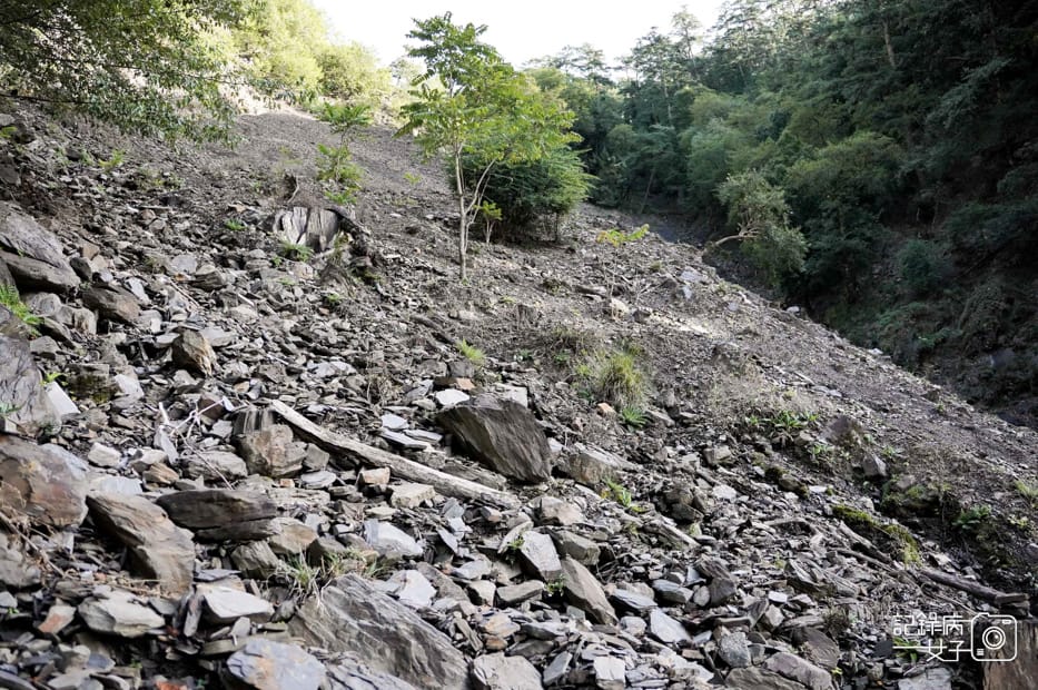 10台灣百岳北二段無名甘薯耳無溪營地遠多志山.jpg