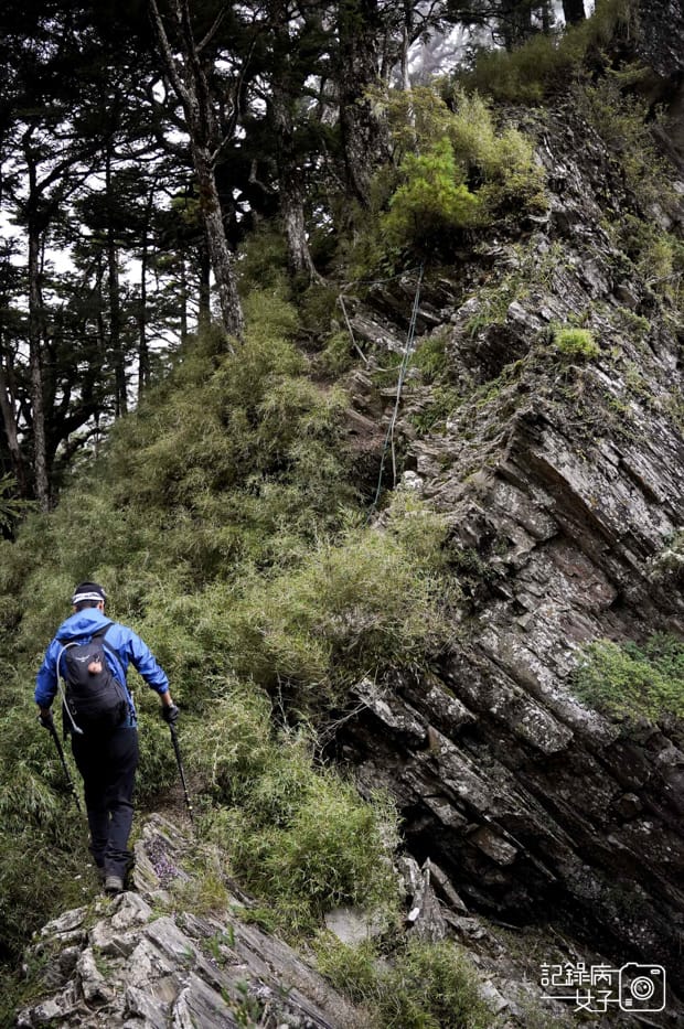 54台灣百岳北二段無名山甘薯峰三天兩夜.jpg