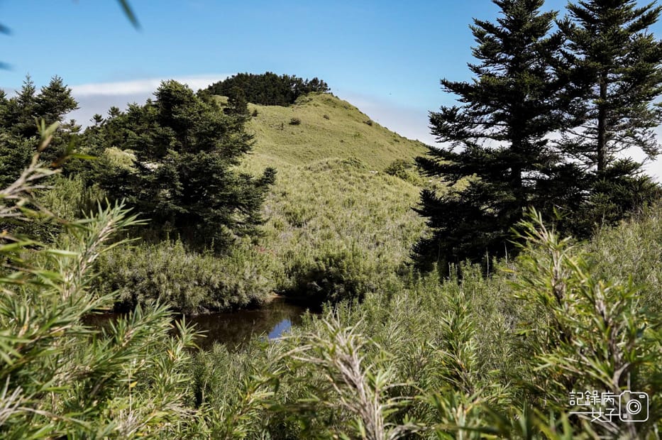 48台灣百岳北二段無名山甘薯峰三天兩夜.jpg