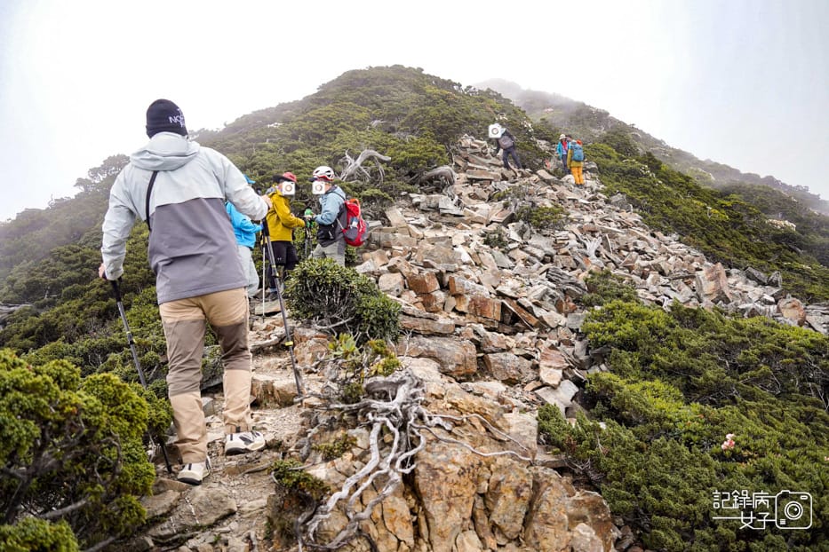 58台灣百岳雪山北峰雪北單攻369山莊哭坡.jpg