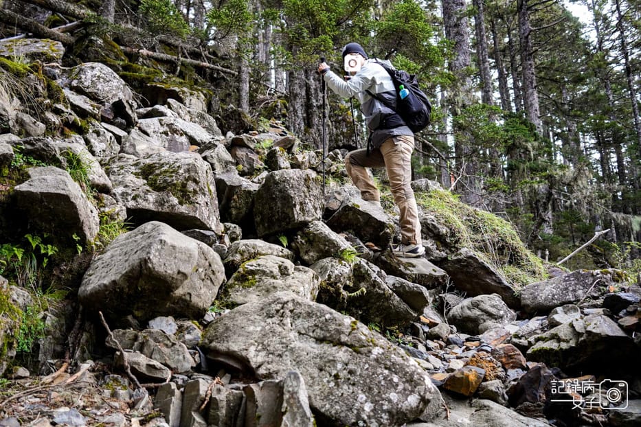 25台灣百岳雪山北峰雪北單攻369山莊哭坡.jpg