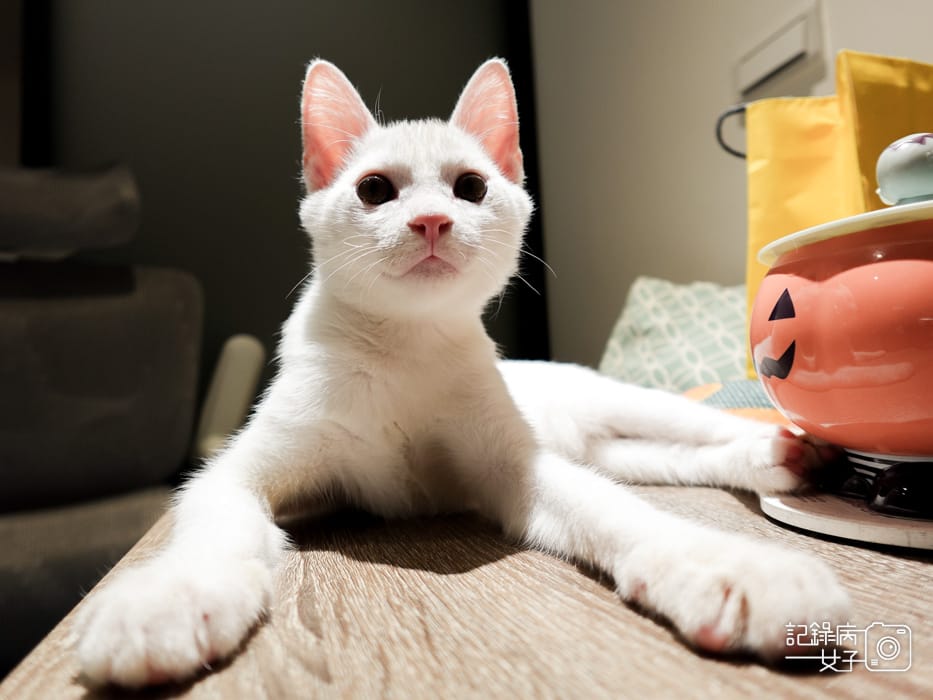 14大安區甜點蛋糕松薇 PINE%26;ROSE假日限定水果千層生乳蛋糕.jpg 14大安區甜點蛋糕松薇 PINE%26;ROSE假日限定水果千層生乳蛋糕.jpg