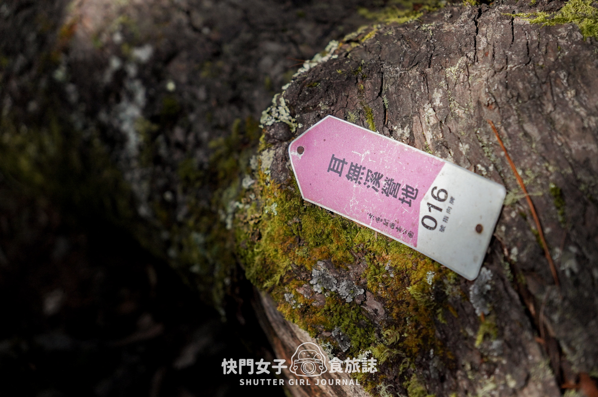 【無明甘薯】無明山甘薯峰三天兩夜 x 北二段C+路線 x 挑戰鬼門關山 x 耳無溪負重扛水袋 - 第21張圖 【無明甘薯】無明山甘薯峰三天兩夜 x 北二段C+路線 x 挑戰鬼門關山 x 耳無溪負重扛水袋