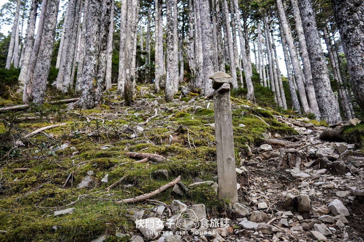 【雪山北峰】雪北單攻 x 穿越黑森林碎石坡 x 欣賞高山杜鵑圈谷 x 可愛夢幻雪北山屋 - 第24張圖 【雪山北峰】雪北單攻 x 穿越黑森林碎石坡 x 欣賞高山杜鵑圈谷 x 可愛夢幻雪北山屋