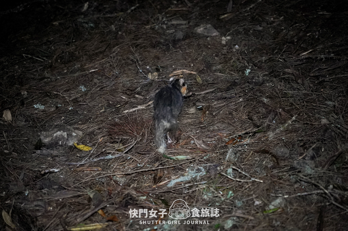 【無明甘薯】無明山甘薯峰三天兩夜 x 北二段C+路線 x 挑戰鬼門關山 x 耳無溪負重扛水袋 - 第30張圖 【無明甘薯】無明山甘薯峰三天兩夜 x 北二段C+路線 x 挑戰鬼門關山 x 耳無溪負重扛水袋