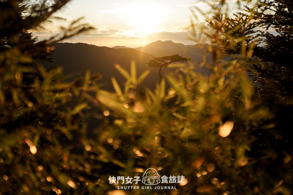 【無明甘薯】無明山甘薯峰三天兩夜 x 北二段C+路線 x 挑戰鬼門關山 x 耳無溪負重扛水袋 - 第34張圖 【無明甘薯】無明山甘薯峰三天兩夜 x 北二段C+路線 x 挑戰鬼門關山 x 耳無溪負重扛水袋