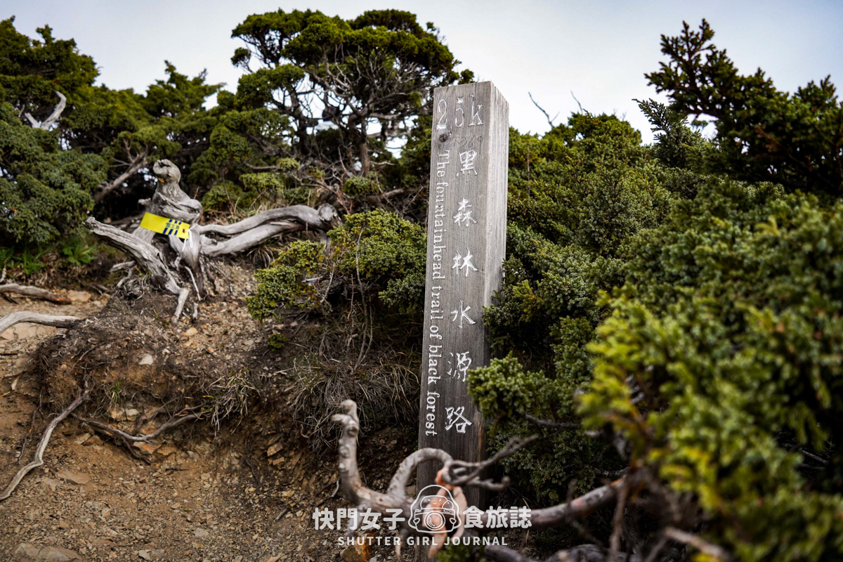 【雪山北峰】雪北單攻 x 穿越黑森林碎石坡 x 欣賞高山杜鵑圈谷 x 可愛夢幻雪北山屋 - 第35張圖 【雪山北峰】雪北單攻 x 穿越黑森林碎石坡 x 欣賞高山杜鵑圈谷 x 可愛夢幻雪北山屋