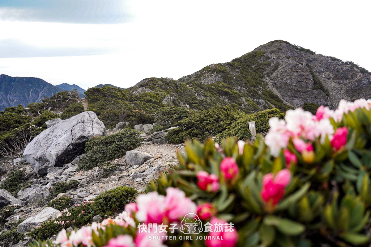 【雪山北峰】雪北單攻 x 穿越黑森林碎石坡 x 欣賞高山杜鵑圈谷 x 可愛夢幻雪北山屋 - 第36張圖 【雪山北峰】雪北單攻 x 穿越黑森林碎石坡 x 欣賞高山杜鵑圈谷 x 可愛夢幻雪北山屋