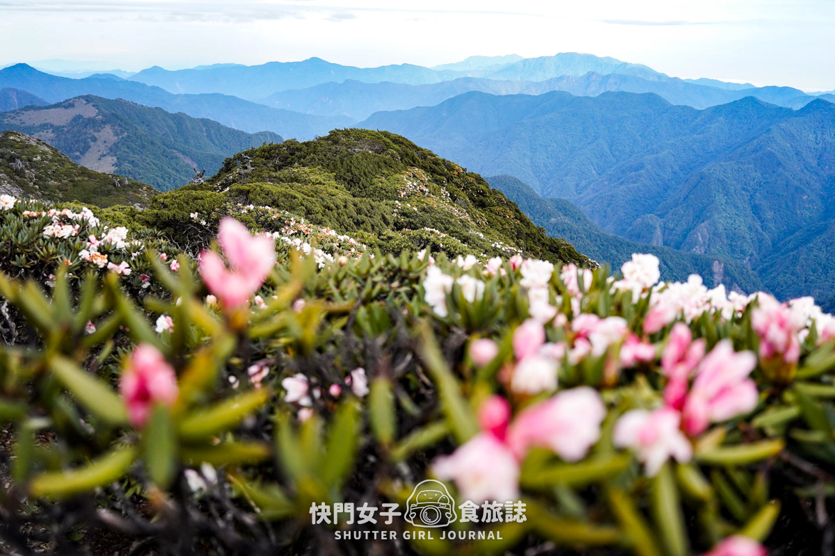 【雪山北峰】雪北單攻 x 穿越黑森林碎石坡 x 欣賞高山杜鵑圈谷 x 可愛夢幻雪北山屋 - 第37張圖 【雪山北峰】雪北單攻 x 穿越黑森林碎石坡 x 欣賞高山杜鵑圈谷 x 可愛夢幻雪北山屋