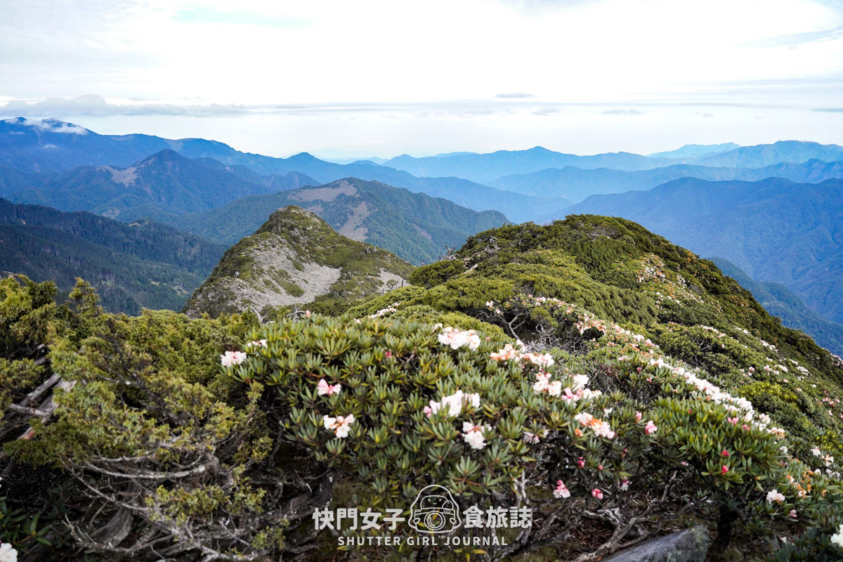 【雪山北峰】雪北單攻 x 穿越黑森林碎石坡 x 欣賞高山杜鵑圈谷 x 可愛夢幻雪北山屋 - 第38張圖 【雪山北峰】雪北單攻 x 穿越黑森林碎石坡 x 欣賞高山杜鵑圈谷 x 可愛夢幻雪北山屋