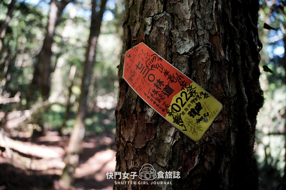 【無明甘薯】無明山甘薯峰三天兩夜 x 北二段C+路線 x 挑戰鬼門關山 x 耳無溪負重扛水袋 - 第4張圖 【無明甘薯】無明山甘薯峰三天兩夜 x 北二段C+路線 x 挑戰鬼門關山 x 耳無溪負重扛水袋