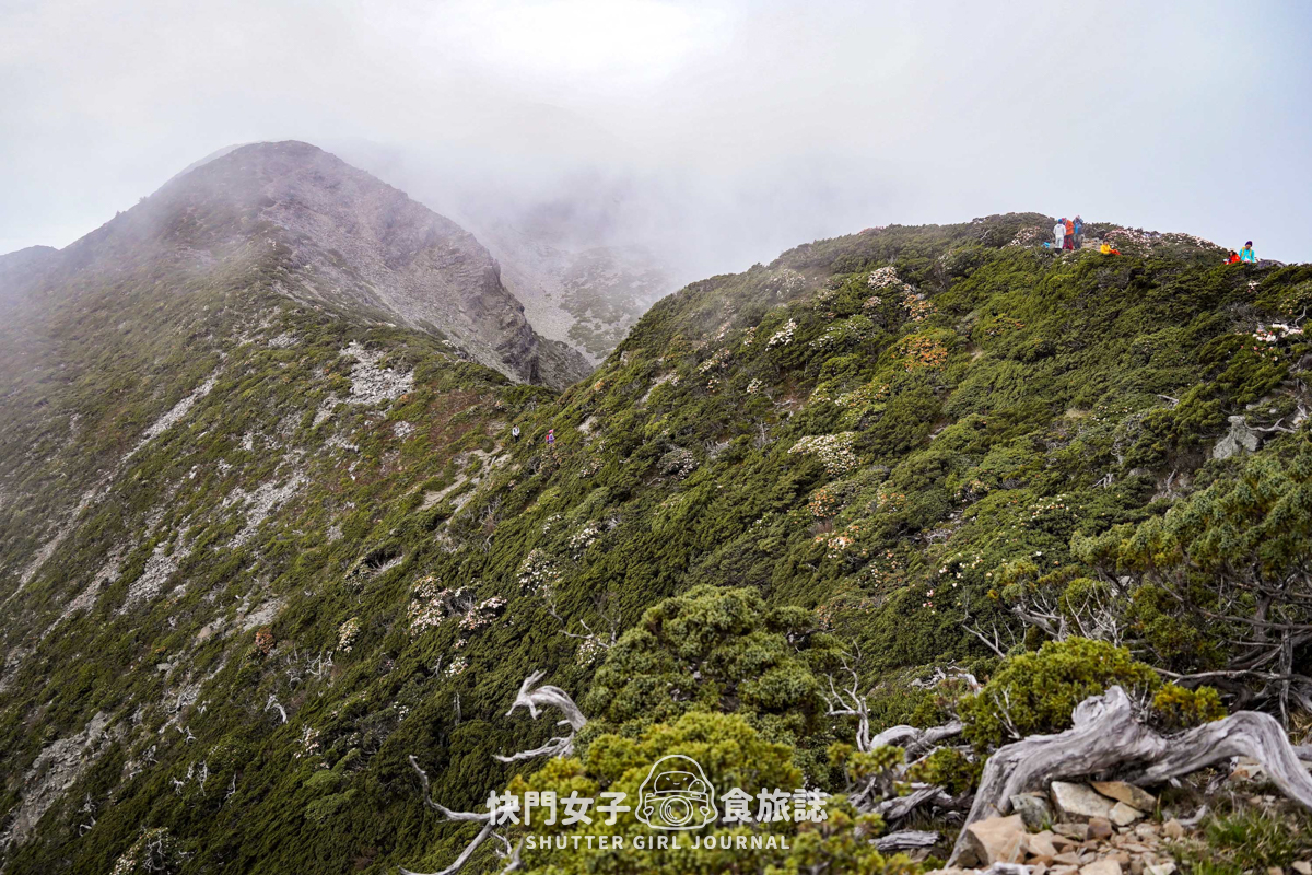 【雪山北峰】雪北單攻 x 穿越黑森林碎石坡 x 欣賞高山杜鵑圈谷 x 可愛夢幻雪北山屋 - 第42張圖 【雪山北峰】雪北單攻 x 穿越黑森林碎石坡 x 欣賞高山杜鵑圈谷 x 可愛夢幻雪北山屋