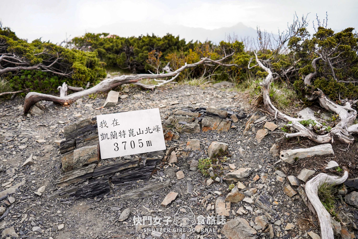 【雪山北峰】雪北單攻 x 穿越黑森林碎石坡 x 欣賞高山杜鵑圈谷 x 可愛夢幻雪北山屋 - 第43張圖 【雪山北峰】雪北單攻 x 穿越黑森林碎石坡 x 欣賞高山杜鵑圈谷 x 可愛夢幻雪北山屋