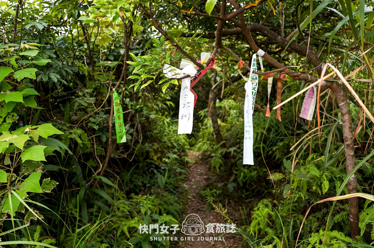 【大武崙山】大武崙山 x 基隆小百岳 x 情人湖環湖步道 x 欣賞海岸老鷹 - 第42張圖 【大武崙山】大武崙山 x 基隆小百岳 x 情人湖環湖步道 x 欣賞海岸老鷹