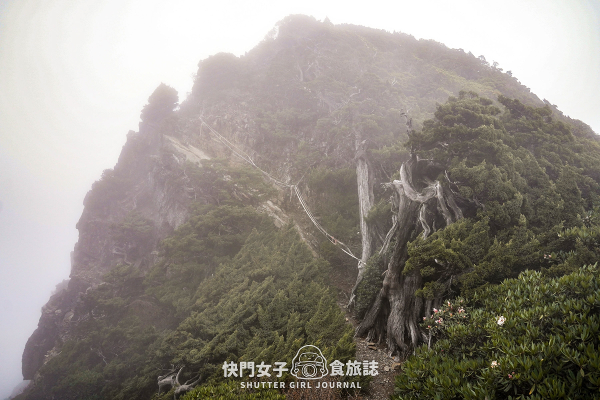【雪山北峰】雪北單攻 x 穿越黑森林碎石坡 x 欣賞高山杜鵑圈谷 x 可愛夢幻雪北山屋 - 第44張圖 【雪山北峰】雪北單攻 x 穿越黑森林碎石坡 x 欣賞高山杜鵑圈谷 x 可愛夢幻雪北山屋