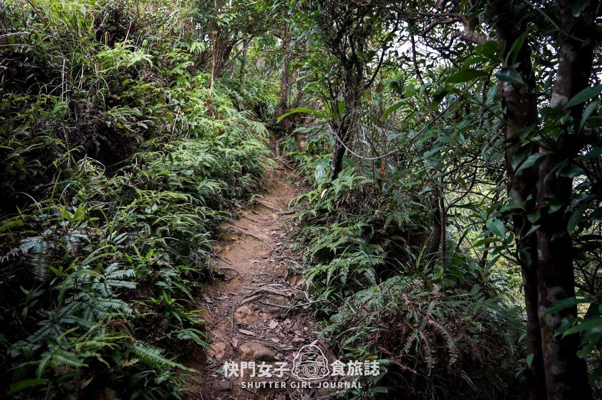 【大武崙山】大武崙山 x 基隆小百岳 x 情人湖環湖步道 x 欣賞海岸老鷹 - 第43張圖 【大武崙山】大武崙山 x 基隆小百岳 x 情人湖環湖步道 x 欣賞海岸老鷹
