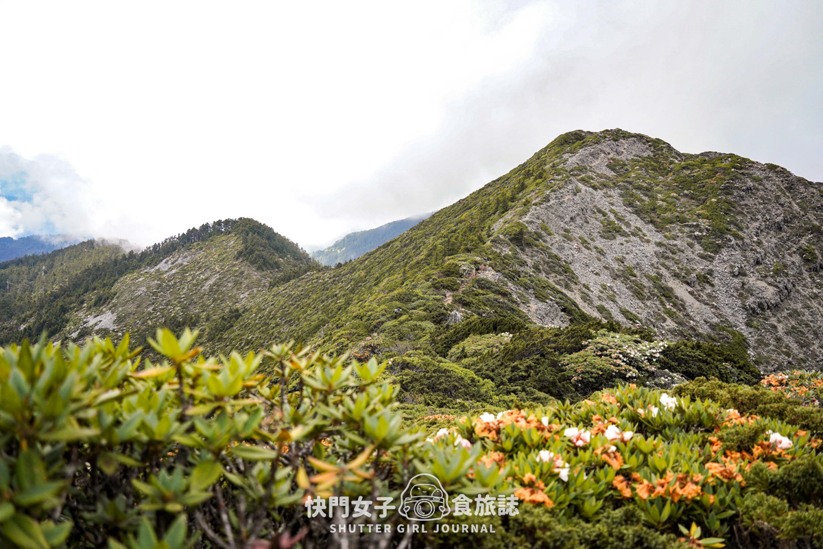 【雪山北峰】雪北單攻 x 穿越黑森林碎石坡 x 欣賞高山杜鵑圈谷 x 可愛夢幻雪北山屋 - 第47張圖 【雪山北峰】雪北單攻 x 穿越黑森林碎石坡 x 欣賞高山杜鵑圈谷 x 可愛夢幻雪北山屋