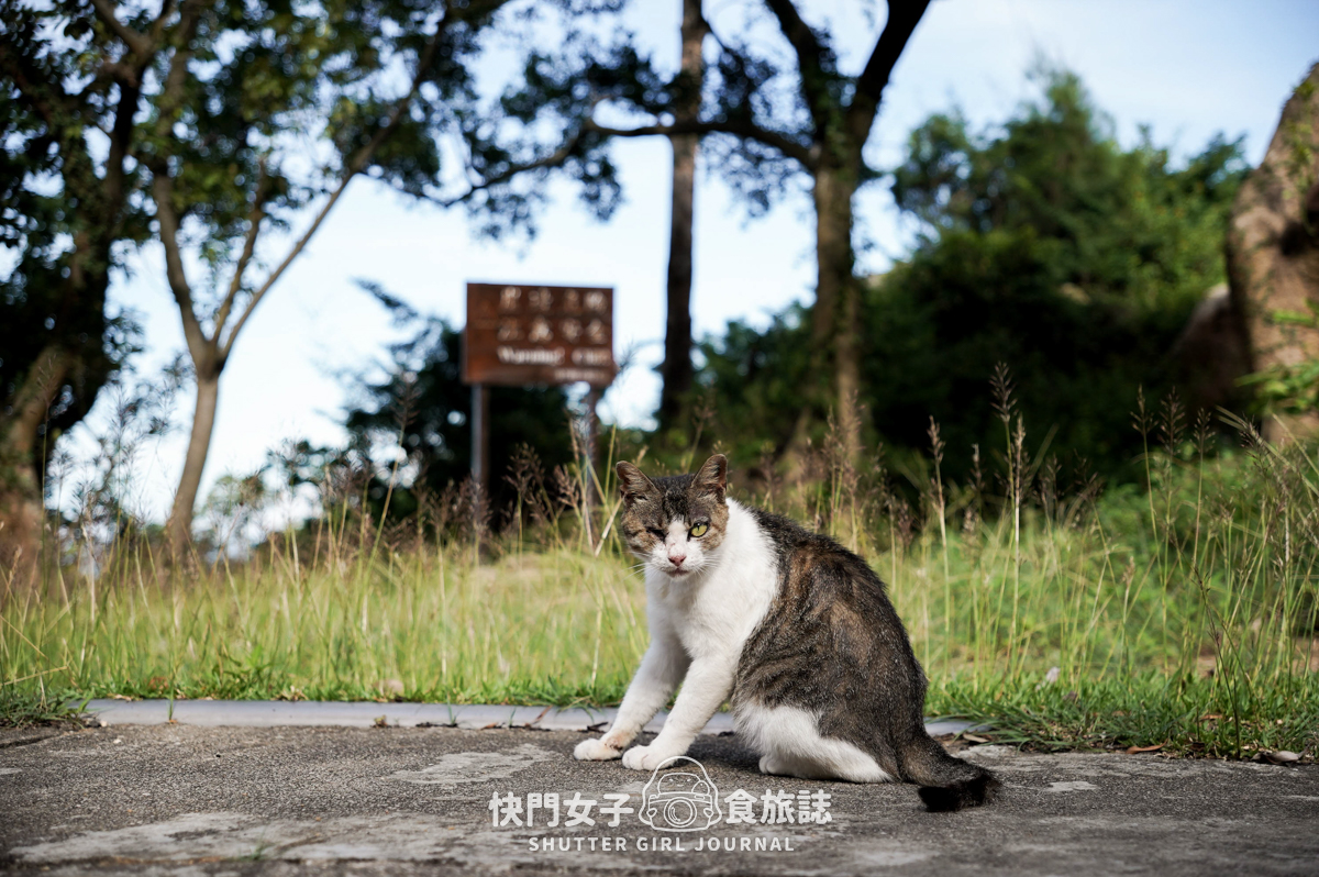 【太武山】太武山 x 金門小百岳 x 地標勿忘在莒 x 宗教百景入選海印寺