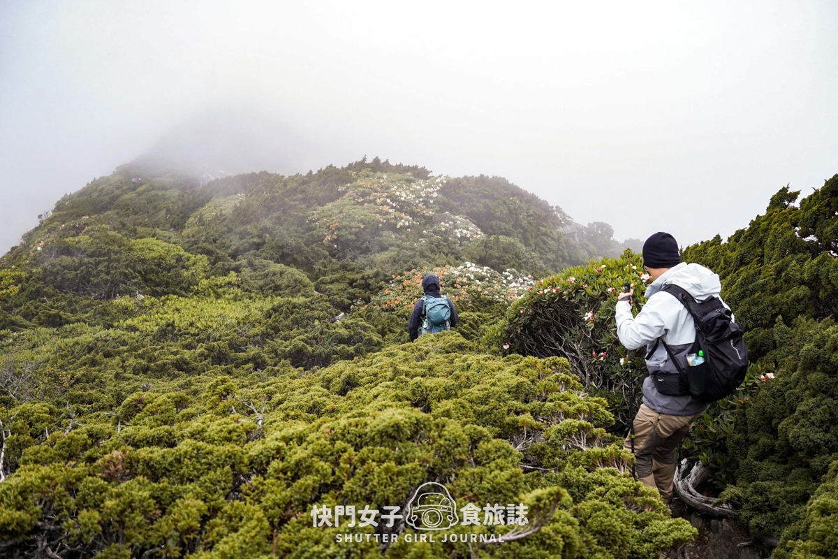 【雪山北峰】雪北單攻 x 穿越黑森林碎石坡 x 欣賞高山杜鵑圈谷 x 可愛夢幻雪北山屋 - 第53張圖 【雪山北峰】雪北單攻 x 穿越黑森林碎石坡 x 欣賞高山杜鵑圈谷 x 可愛夢幻雪北山屋