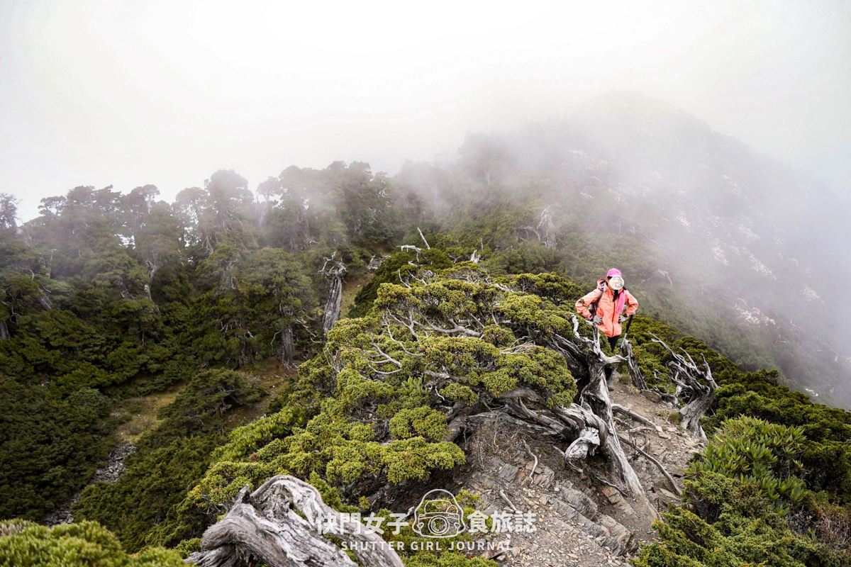 【雪山北峰】雪北單攻 x 穿越黑森林碎石坡 x 欣賞高山杜鵑圈谷 x 可愛夢幻雪北山屋 - 第54張圖 【雪山北峰】雪北單攻 x 穿越黑森林碎石坡 x 欣賞高山杜鵑圈谷 x 可愛夢幻雪北山屋