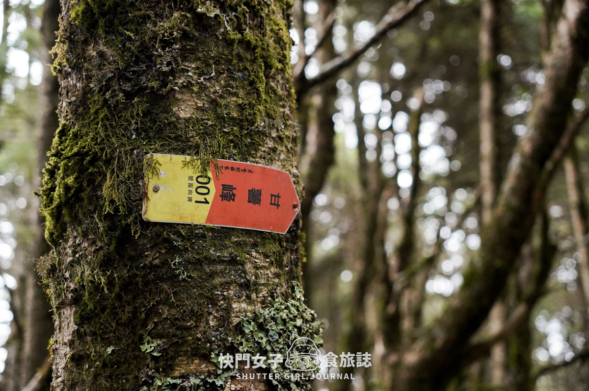 【無明甘薯】無明山甘薯峰三天兩夜 x 北二段C+路線 x 挑戰鬼門關山 x 耳無溪負重扛水袋 - 第56張圖 【無明甘薯】無明山甘薯峰三天兩夜 x 北二段C+路線 x 挑戰鬼門關山 x 耳無溪負重扛水袋