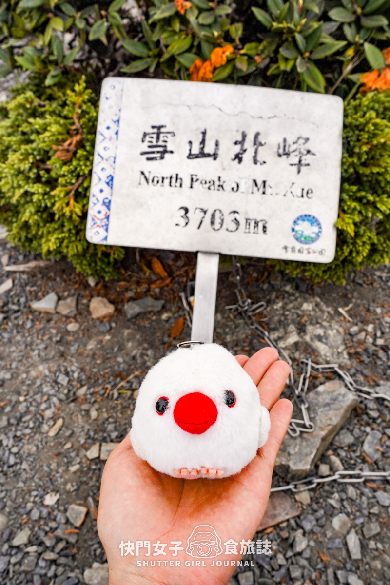 【雪山北峰】雪北單攻 x 穿越黑森林碎石坡 x 欣賞高山杜鵑圈谷 x 可愛夢幻雪北山屋 - 第57張圖 【雪山北峰】雪北單攻 x 穿越黑森林碎石坡 x 欣賞高山杜鵑圈谷 x 可愛夢幻雪北山屋