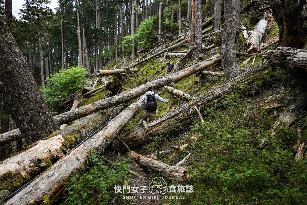【雪山北峰】雪北單攻 x 穿越黑森林碎石坡 x 欣賞高山杜鵑圈谷 x 可愛夢幻雪北山屋 - 第59張圖 【雪山北峰】雪北單攻 x 穿越黑森林碎石坡 x 欣賞高山杜鵑圈谷 x 可愛夢幻雪北山屋